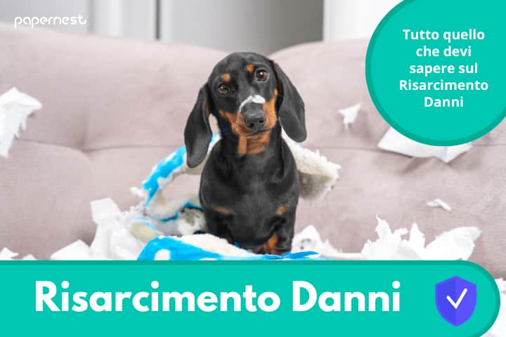 Come ottenere il risarcimento danni dall'assicurazione casa