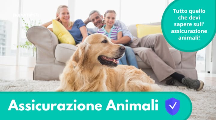 L'assicurazione per i tuoi animali! Scopri come fare l'assicurazione!